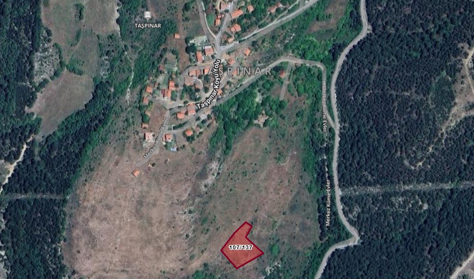KASTAMONU ARAÇ  TAŞPINAR KÖYÜNDE  2.951 M² TARLAMIZ  SATILIKTIR. - KASTAMONU ARAÇ fotoğraf 4